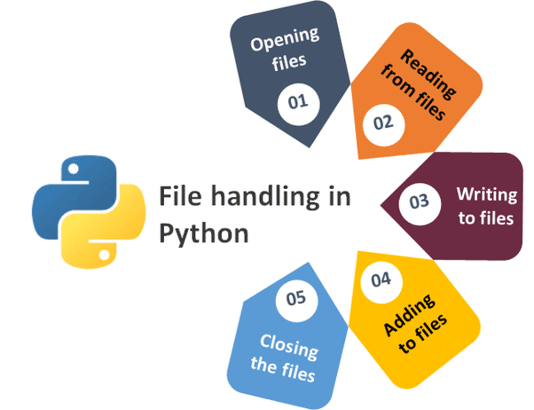 Python File Management Guide